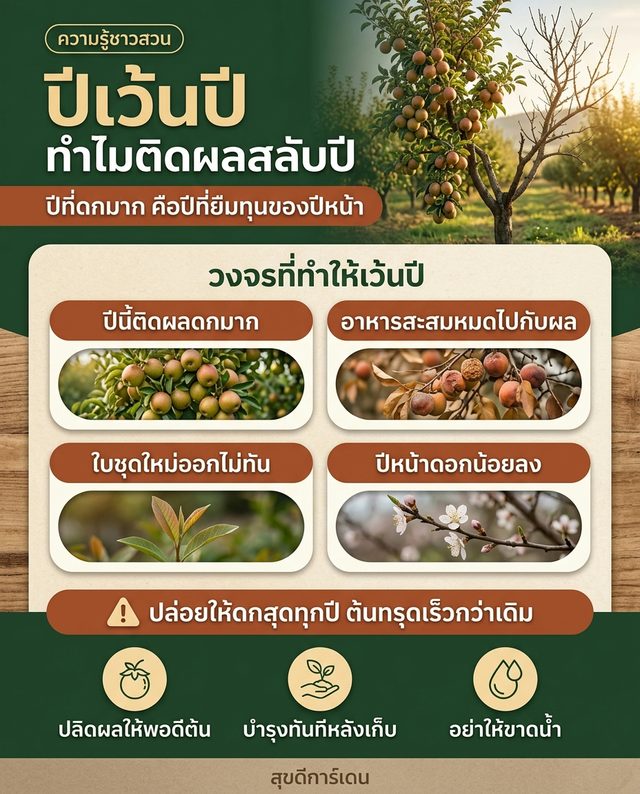 ตัวอย่างคอนเทนต์เพจเกษตร สวนผลไม้